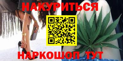 индика Котовск