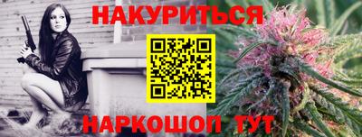 индика Котовск