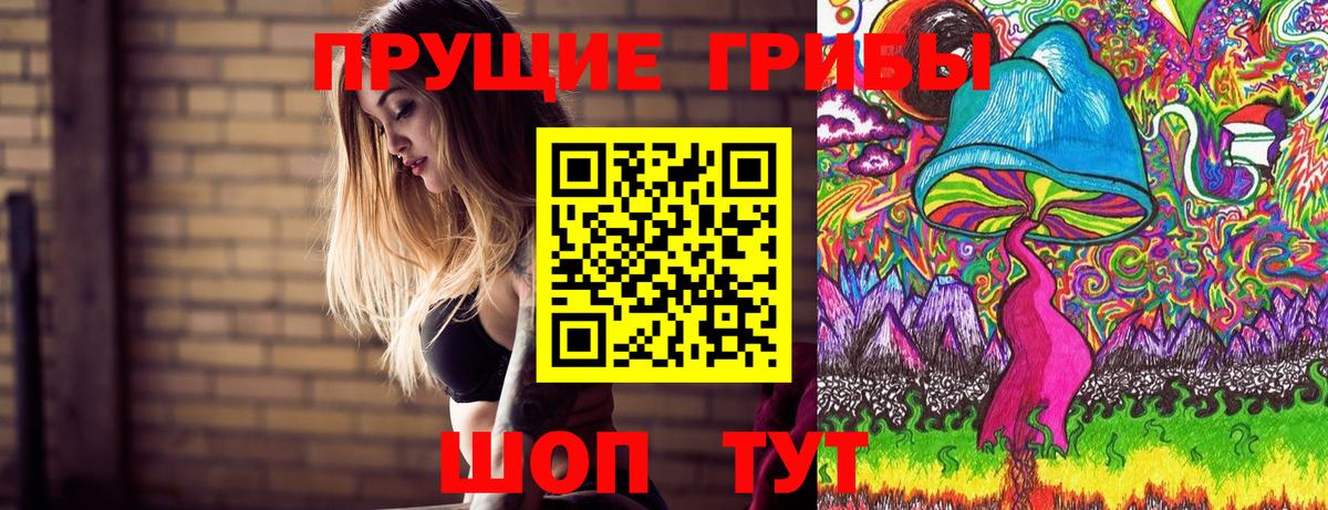 Псилоцибиновые грибы GOLDEN TEACHER Котельники