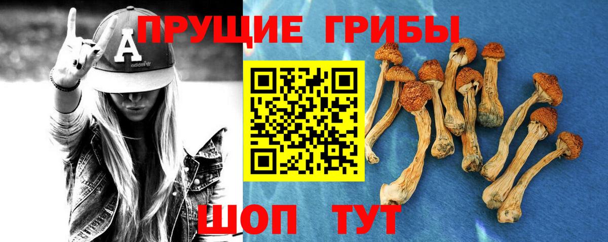 Галлюциногенные грибы MAGIC MUSHROOMS  Вход с VPN  Котельники 